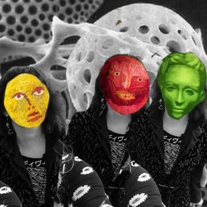 Meet your Posher, Amelia