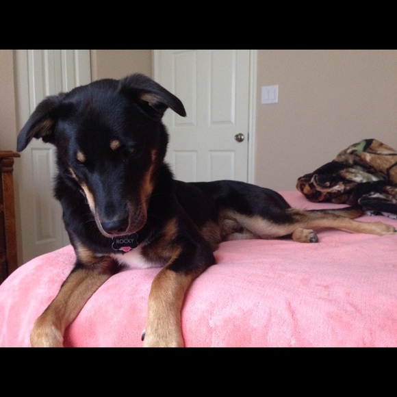 Meet your Posher, Katlyn