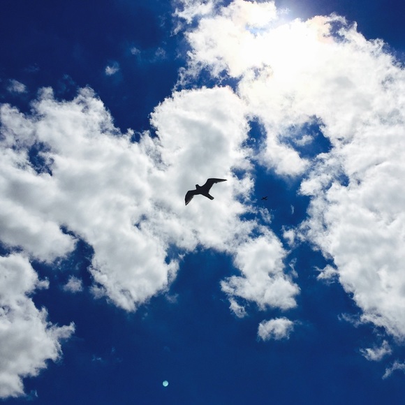 Meet your Posher, Selen - Picture 1 of 1