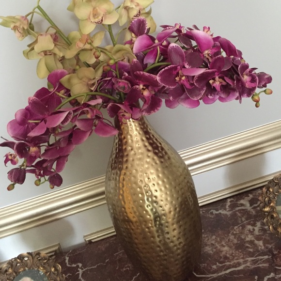 Meet your Posher, Gitty - Picture 1 of 1