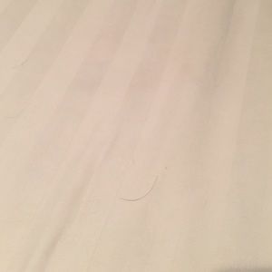 Meet your Posher, Ann