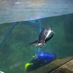 Meet your Posher, Courtany