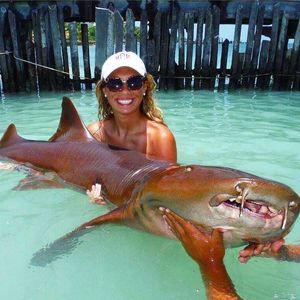 Meet your Posher, Mackenzie