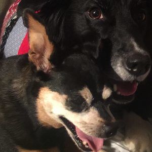 Meet your Posher, Deanna copeland