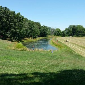 Meet your Posher, Marla