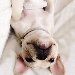 Meet your Posher, Renee