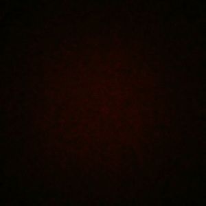 Meet your Posher, Katrina