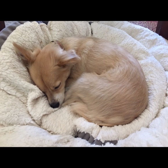 Meet your Posher, Nadene