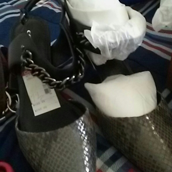 Coach. Shoe - Picture 1 of 1