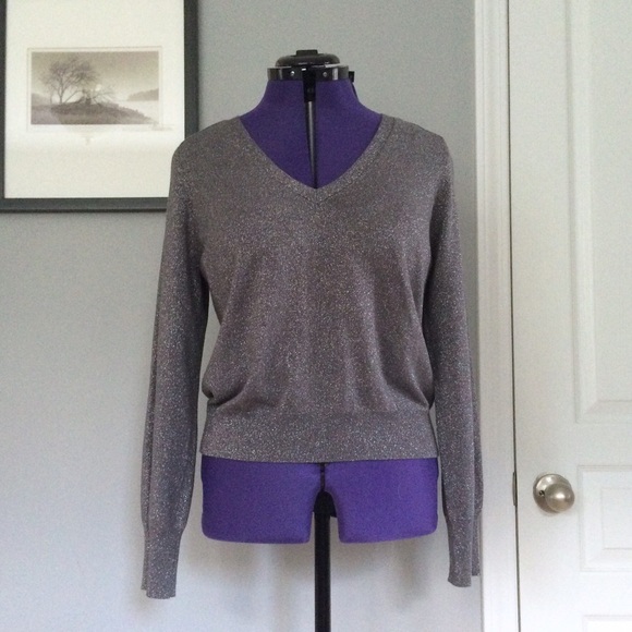 Soft Silver Sparkly Sweater • Lightweight V Neck