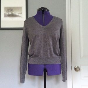 Soft Silver Sparkly Sweater • Lightweight V Neck