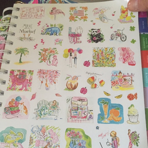 Brand New Large 2015-2016 Lily Agenda - Picture 2 of 3