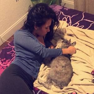 Meet your Posher, Izzy