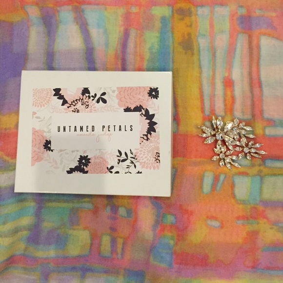 BHLDN Hair Clip