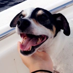 Meet your Posher, Paige