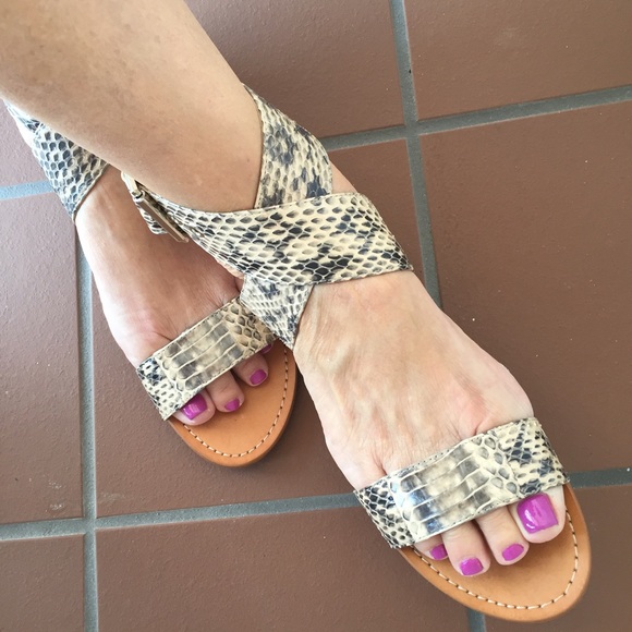Vince Camuto Shoes - Amazing Vince Camuto Havannah Snake Sandal