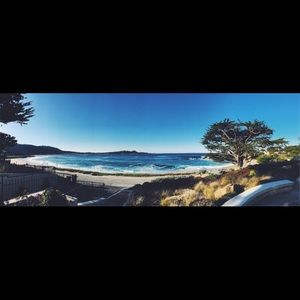 Meet your Posher, Sadie