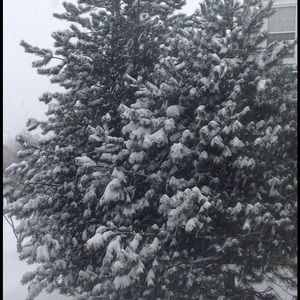 Meet your Posher, Aria