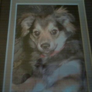 Meet your Posher, Sandi