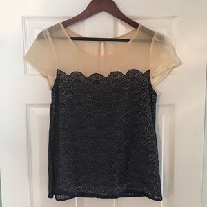Francesca's navy blue lace top