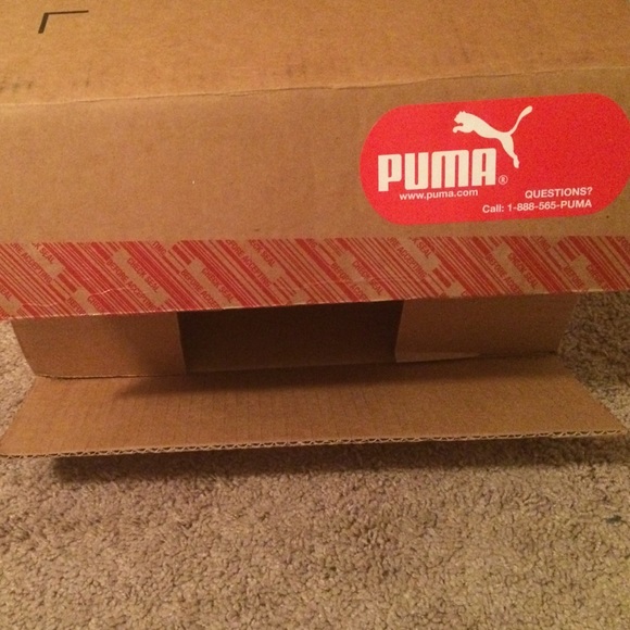 Leadcat Fenty Shell Puma Slippers - Picture 4 of 4