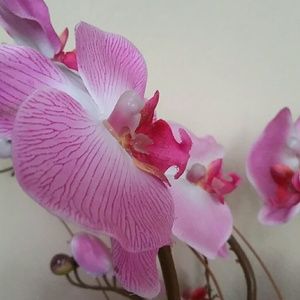 Meet your Posher, Sun