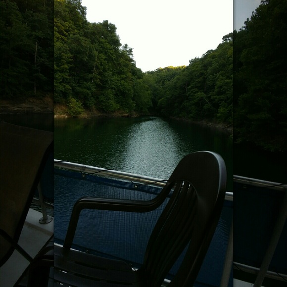 Meet your Posher, Robin - Picture 1 of 1