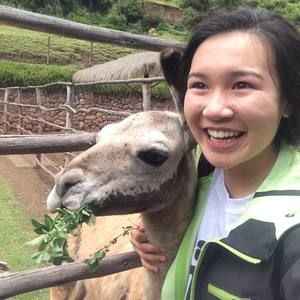 Meet your Posher, Rachel