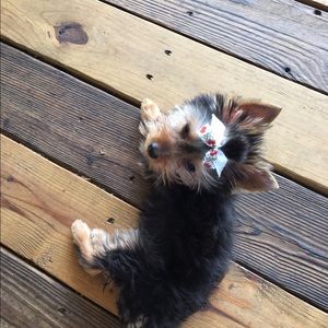 Meet your Posher, Marci