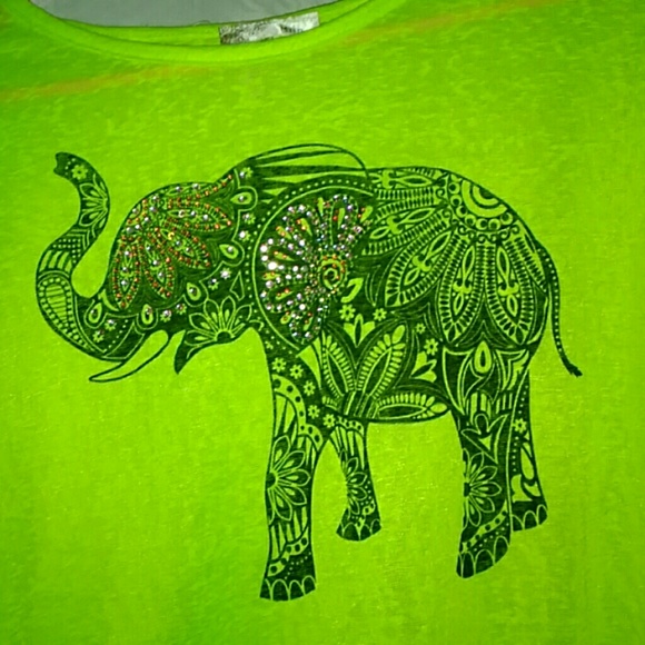SHIRT - Picture 4 of 4