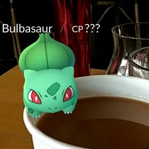 Meet your Posher, Ash