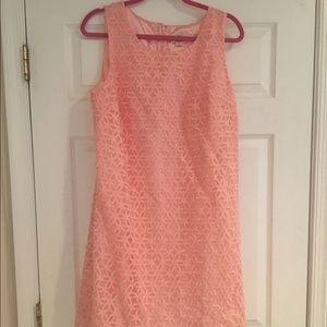 LOFT shift dress NEW WITH TAGS
