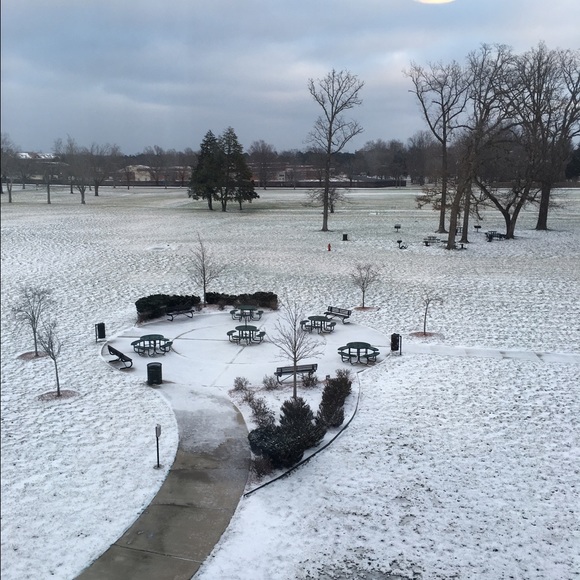 Meet your Posher, Vanessa - Picture 1 of 1