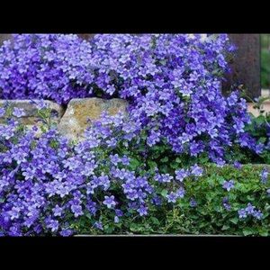 Meet your Posher, Lien