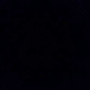 Meet your Posher, Jerrita