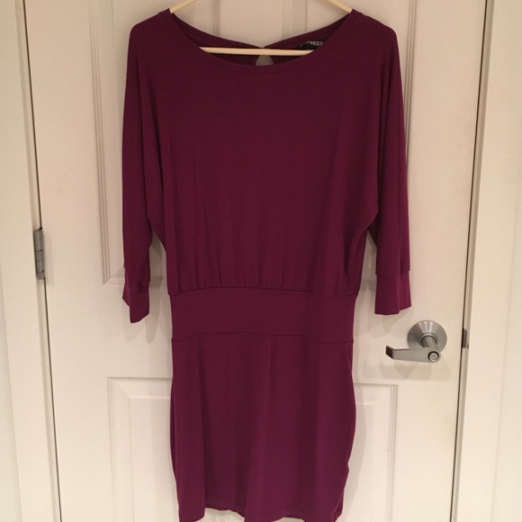 Express Sweater Dress