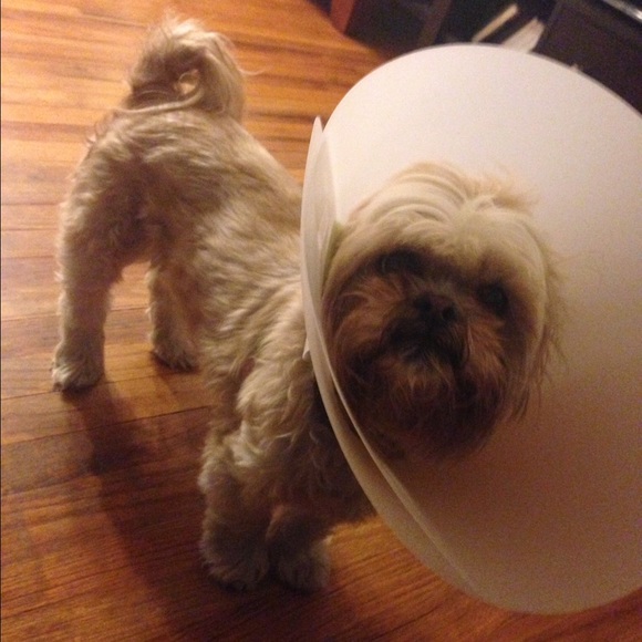 Meet your Posher, Ken - Picture 1 of 1