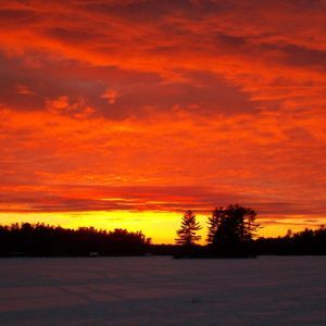 Meet your Posher, Marv