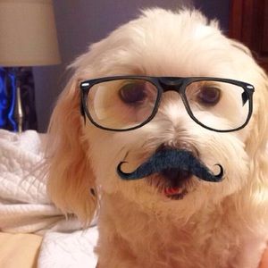 Meet your Posher, Marcina