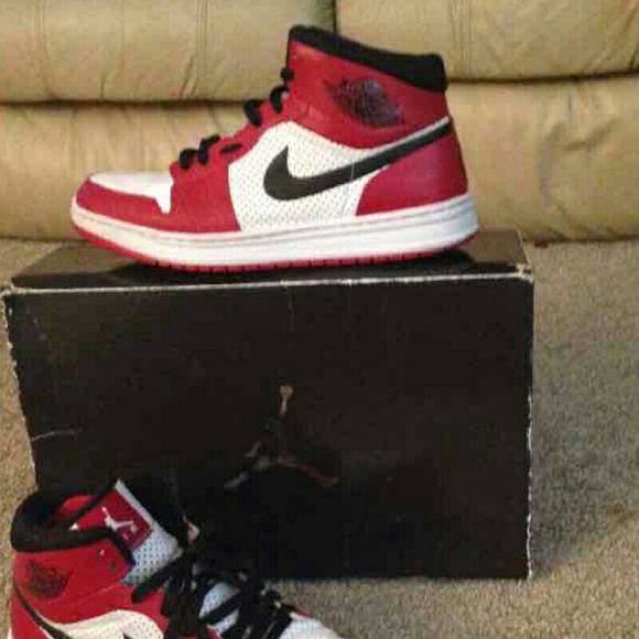 Meet your Posher, Reece - Picture 1 of 1