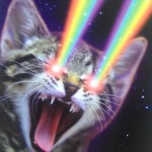 Meet your Posher, Nada