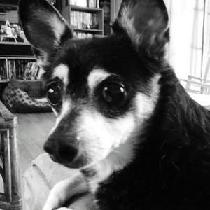 Meet your Posher, Angie