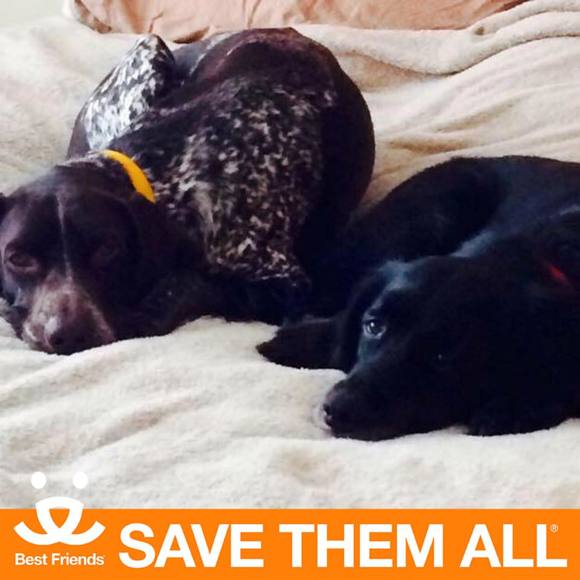 Meet your Posher, Haley - Picture 1 of 1