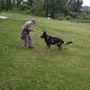 Meet your Posher, Marcie