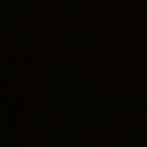 Meet your Posher, Lee