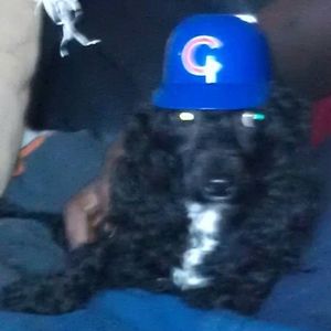 Meet your Posher, Stacie