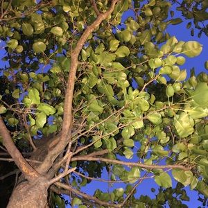 Meet your Posher, Mia