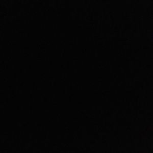 Meet your Posher, Nicky