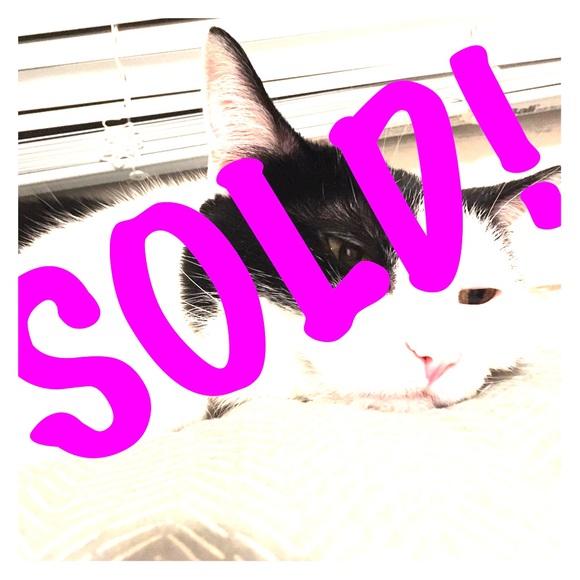 Stop scrolling; it's gone! - Picture 1 of 1