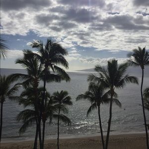 Meet your Posher, Elmer